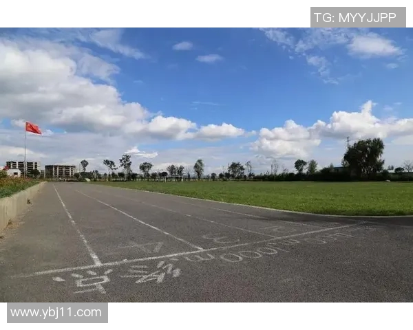 重庆排球队的崛起之路总决赛特别报道展现成长与奋斗的精彩篇章